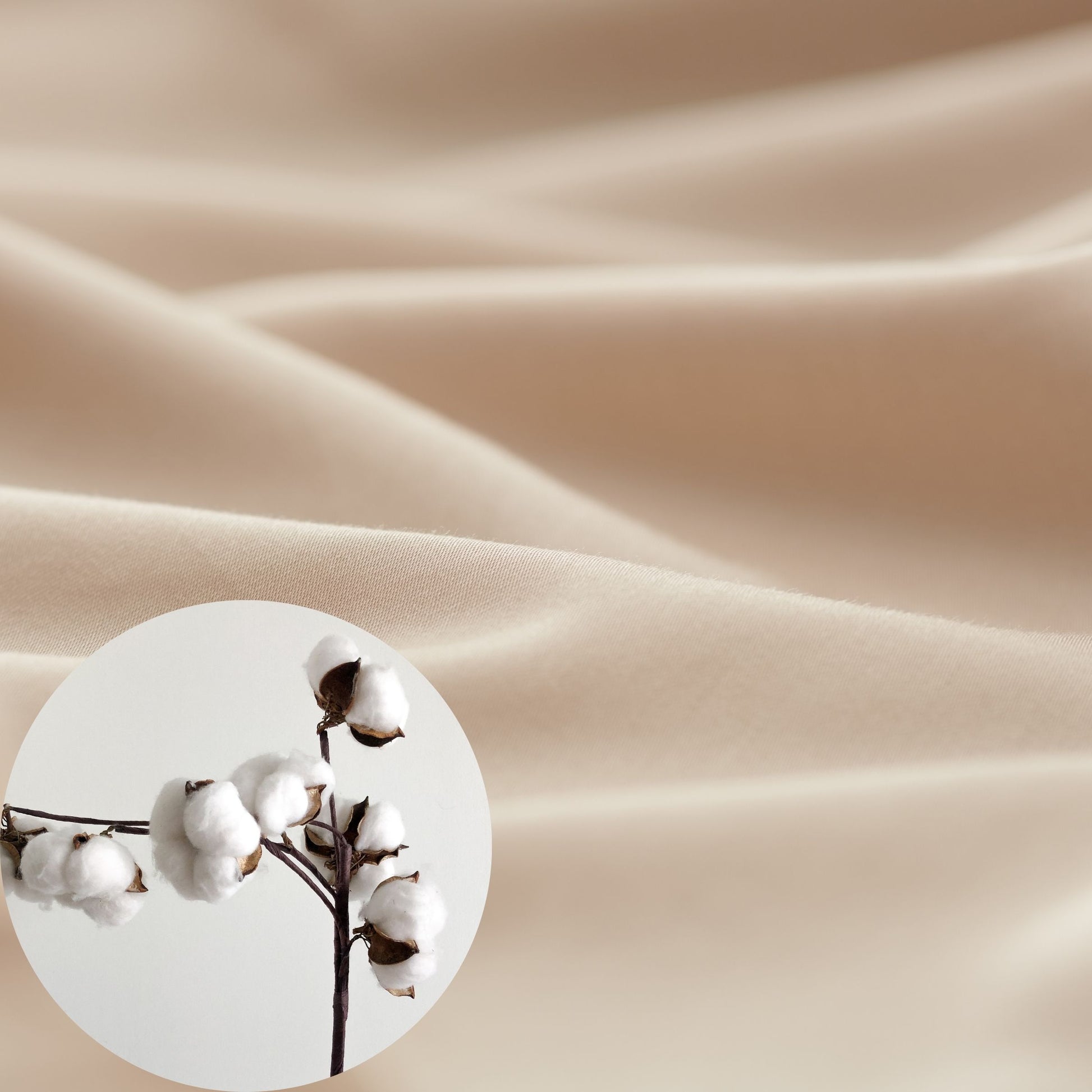 300-thread-count high-density sateen weave cotton fabric display